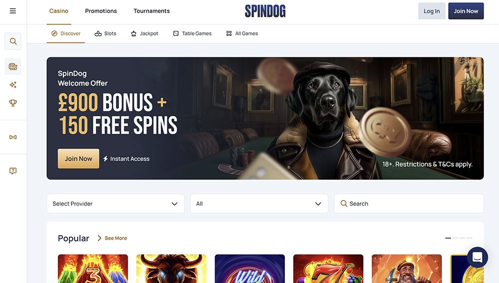 SpinDog Top Review 1